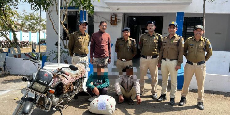 अवैध मादक पदार्थ गांजे के विरुद्ध थाना निवाली पुलिस की बड़ी कार्रवाई