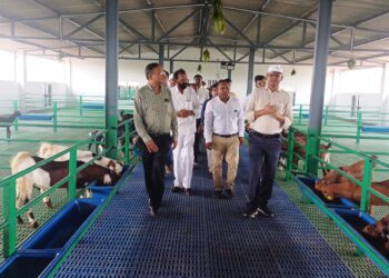 राष्ट्रीय पशुधन मिशन योजना से लाभान्वित संजय चौहान दे रहे प्रधानमंत्री एवं मुख्यमंत्री जी को धन्यवाद