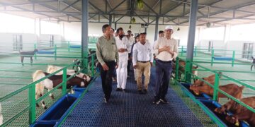 राष्ट्रीय पशुधन मिशन योजना से लाभान्वित संजय चौहान दे रहे प्रधानमंत्री एवं मुख्यमंत्री जी को धन्यवाद