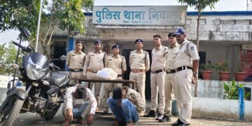 अवैध गांजा तस्करी करने वाले आरोपी बड़वानी पुलिस की गिरफ्त में