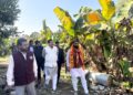 प्रभारी मंत्री ने किया उन्नत केला कृषक के खेत का अवलोकन