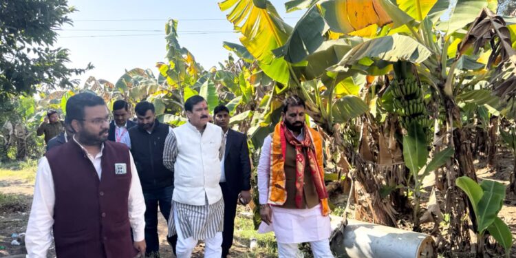 प्रभारी मंत्री ने किया उन्नत केला कृषक के खेत का अवलोकन